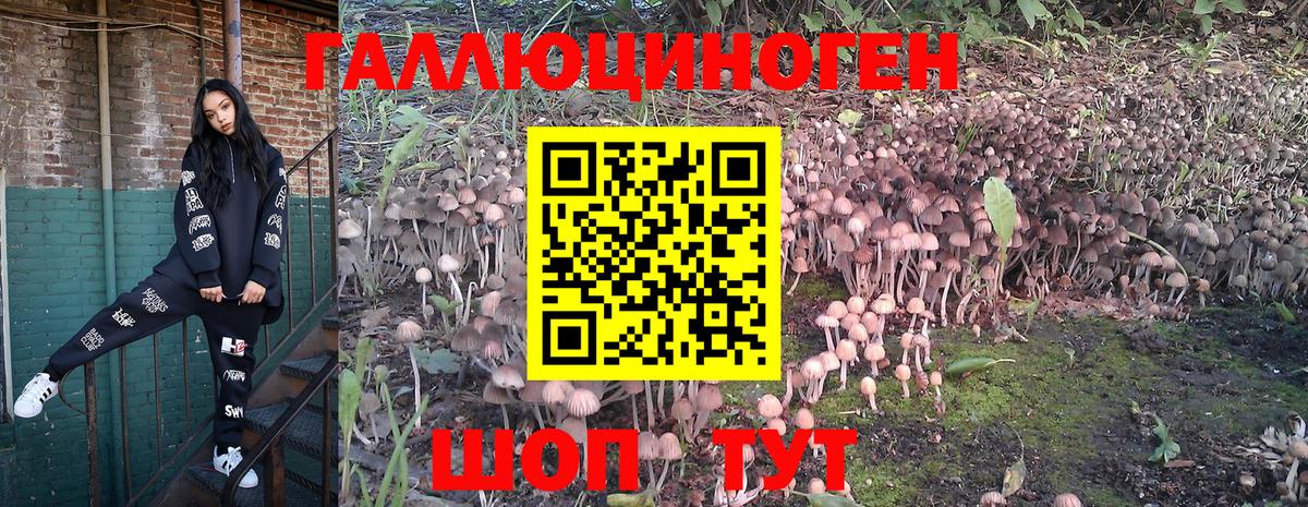 Псилоцибиновые грибы Cubensis  Галлюциногенные грибы Psilocybine cubensis  Малгобек  Вход с VPN 